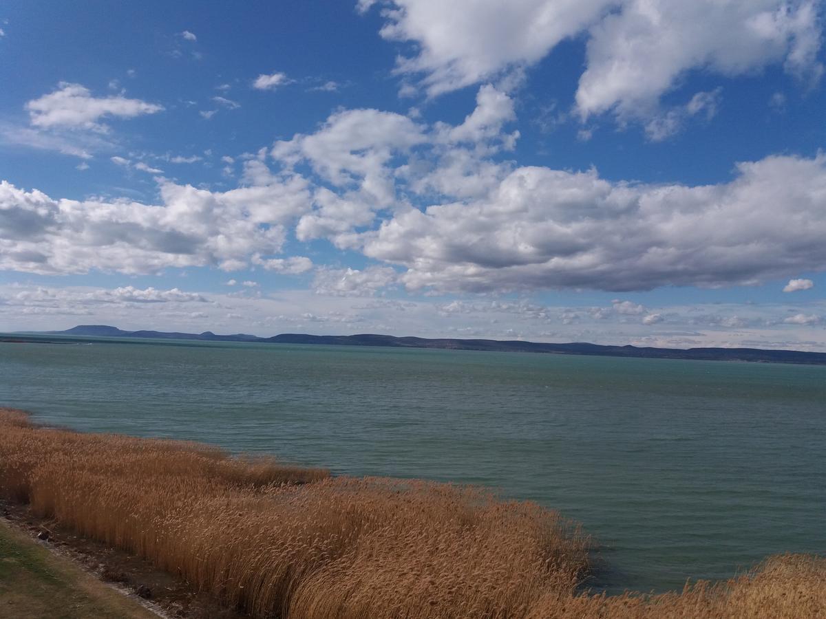 Hotel Otp Balatonszárszó Eksteriør bilde